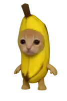 Green-Screen Cat