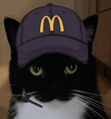 McDonald's Cat