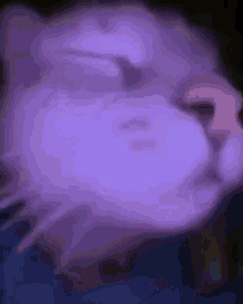 Vibe Cat